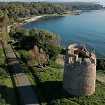 Asfodelo Pula