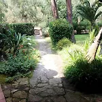 Asfodelo Pula